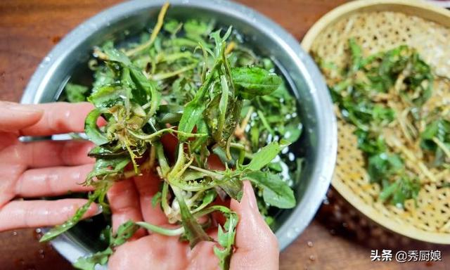 苦菜怎么做好吃，野菜苦苣菜怎么做好吃（别把苦菜当野草了）