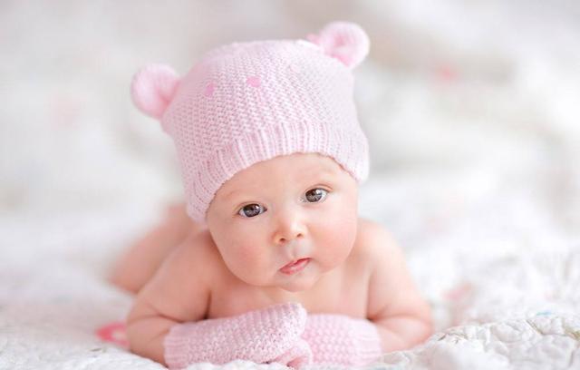 世界上最长的吊，世界最大的吊车能吊多少吨（冷知识：世界上丁丁最大的动物）