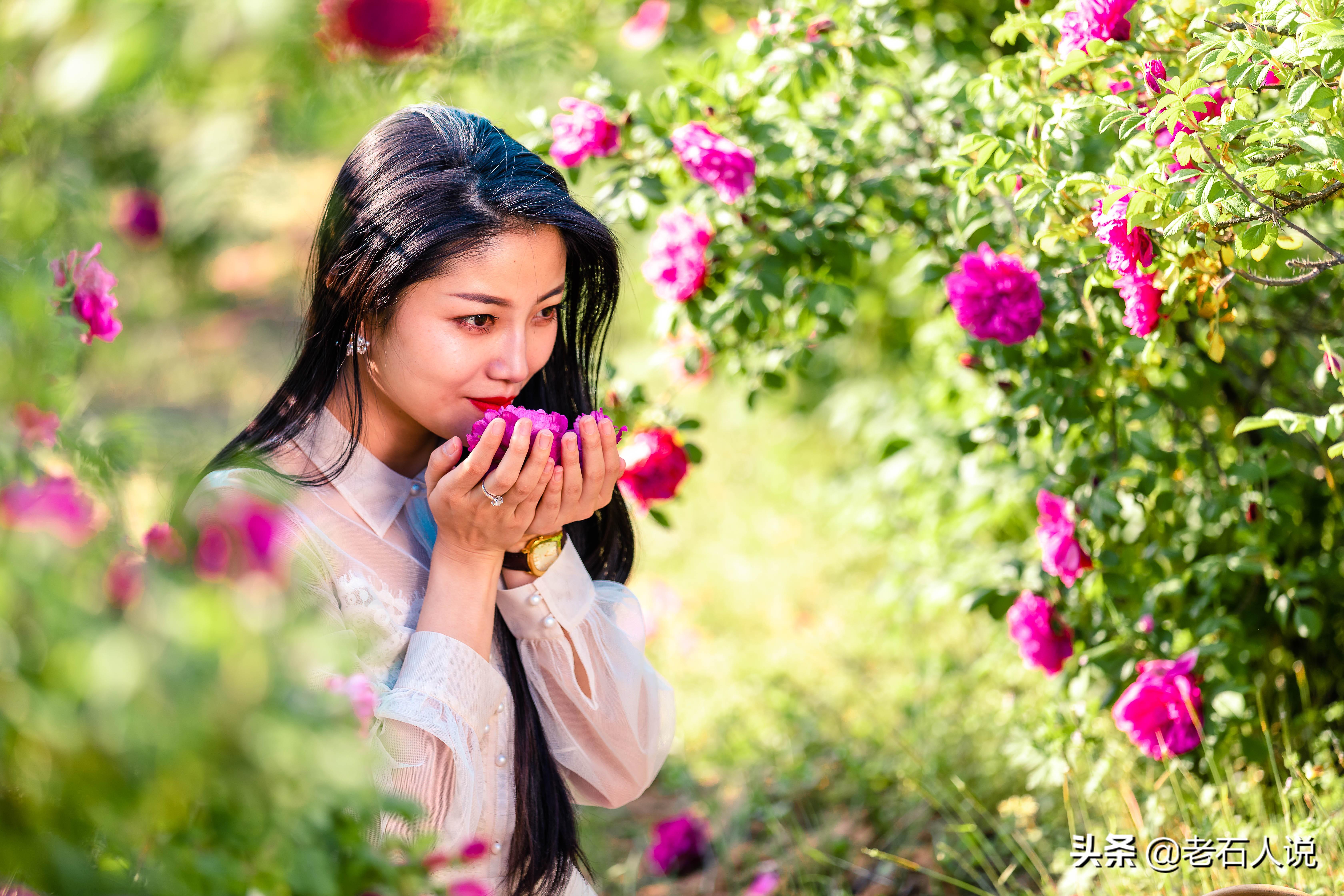 玫瑰花开的季节，玫瑰花在什么季节长出来（玫瑰花在什么季节长出来的）