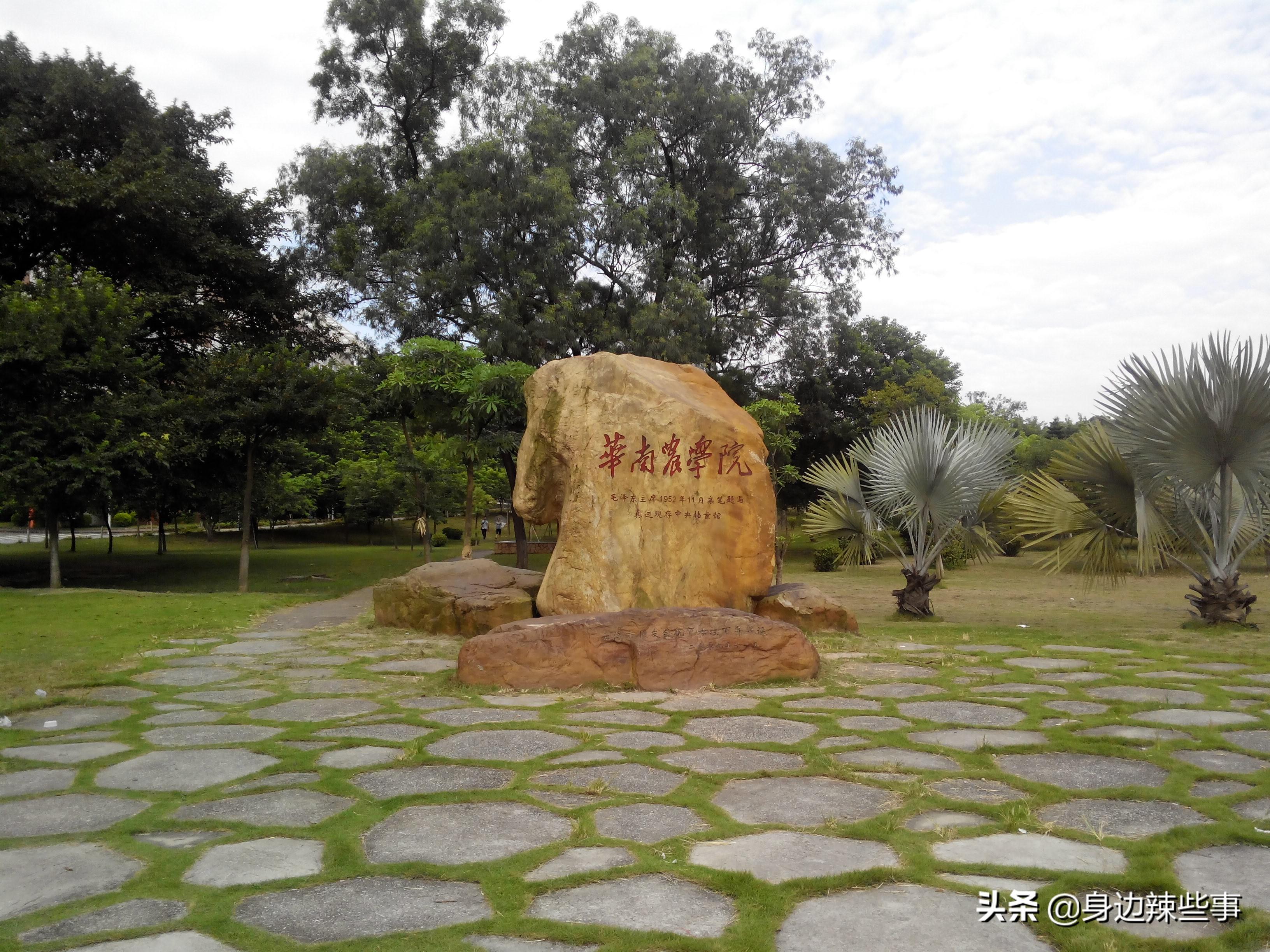 华南农业大学官网(农业硕士不如不考)