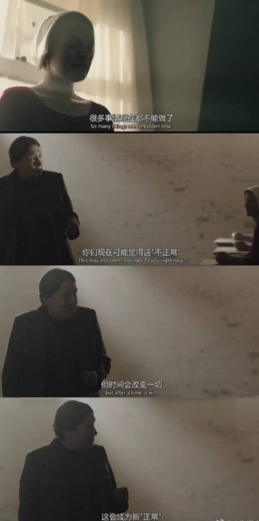 蜜糖婊是什么意思 蜜糖婊的解释，蜜糖婊是什么意思（让我们在社会中比拼武艺吧）