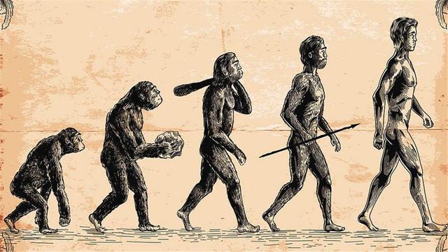 人类简史每日读一本，十分钟读完《人类简史》