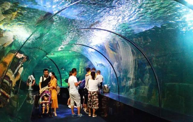 西安海洋馆，一天玩转曲江海洋公园的攻略现在才知道（西安海洋馆作文）