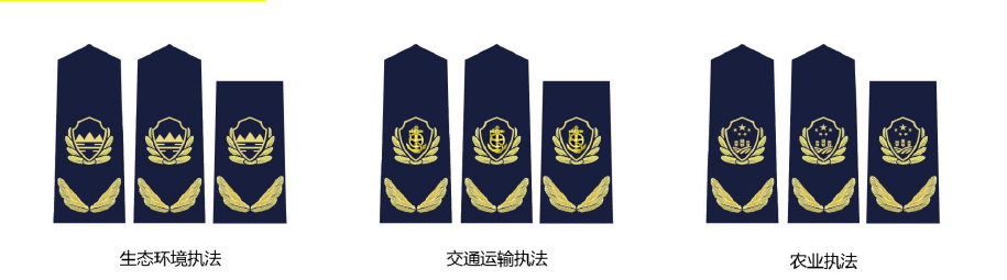司法制服(6支综合行政执法队伍) - 燕来学堂