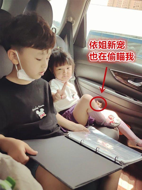 一元奥特曼卡包必出蓝gp技巧，一元包怎么抽蓝GP（老子跟儿子一起组团氪金可还行）