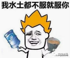 女孩子发wink是什么意思，女生发个wink是什么意思（一天8杯奶茶卖没文化人设）