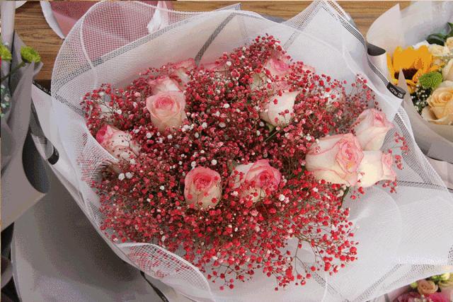 仓鼠公母怎么区分，仓鼠的公母怎样区分（朋友圈一大波狗粮来袭）