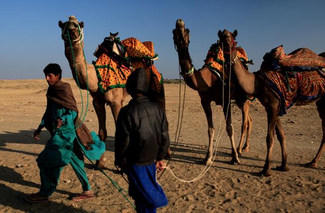 巴基斯坦国土面积，巴基斯坦领土面积多大（巴基斯坦为何至今穷困呢）