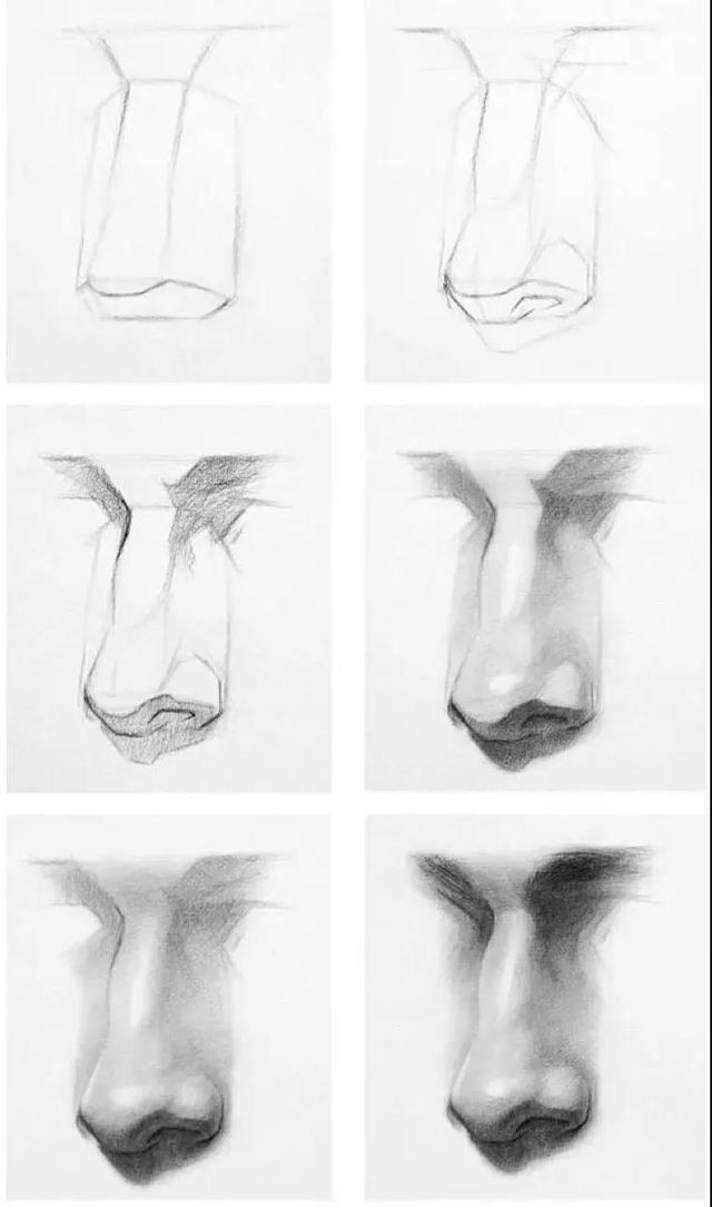 五官有哪些，人的五官准确是哪五官（动漫人物五官的详细画法）