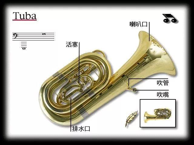 铜管乐器有哪些种类，铜管乐“号”的种类（五分钟，带您认识铜管乐器）
