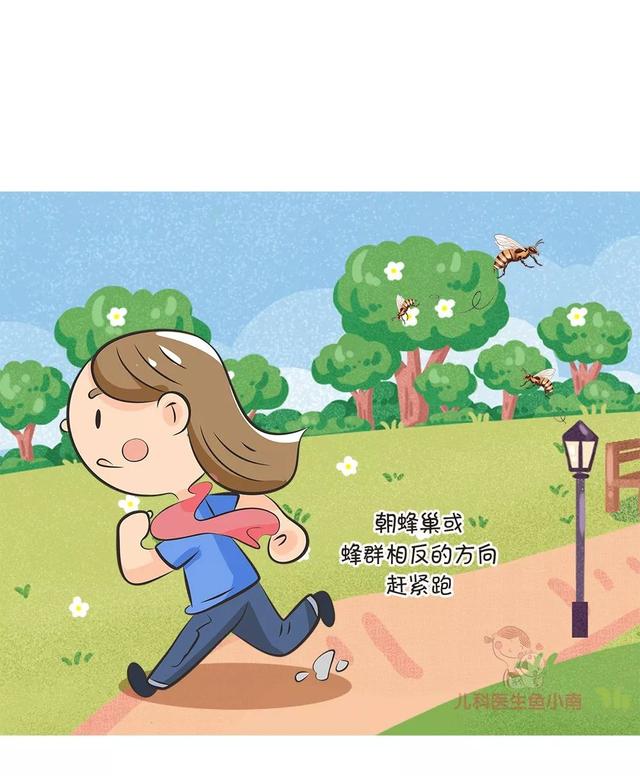 被蜂蜇了怎么办，蜂子蛰了怎样止痒（一文读懂蜂蛰伤）