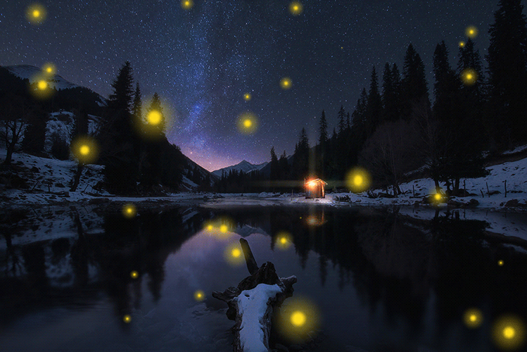 萤火虫为什么会发光，萤火虫发光原理（它发光竟然是为了求偶…）