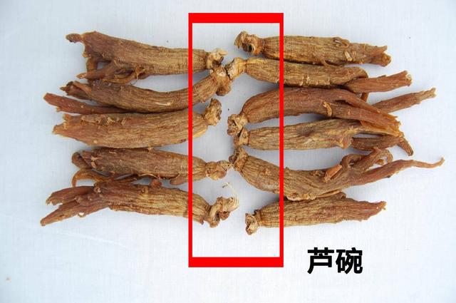 买红参怎么挑选 红参怎么保存最好，买红参怎么挑选（长辈滋补最佳红参怎么挑）