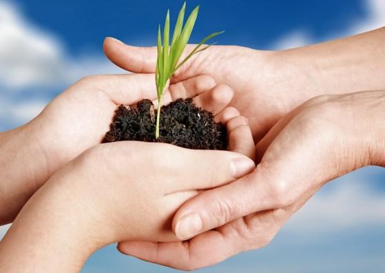 男人花歌词，男人花歌词是写母亲吗（写给未来三十岁的儿子）