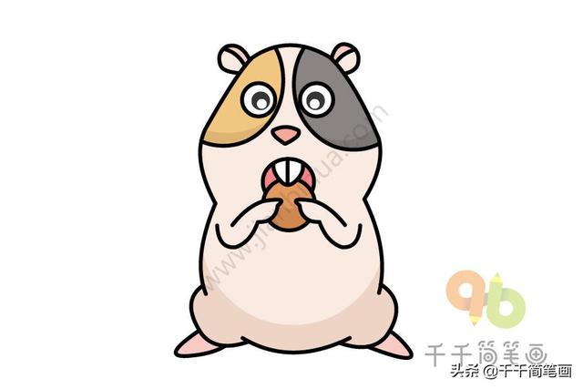 蛇简笔画图片大全可爱，蛇简笔画 儿童画（这个国家竟用屎壳郎做生肖属相）