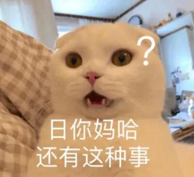 果寡糖是什么，猫罐头里的果寡糖是什么（养猫8大智商税）