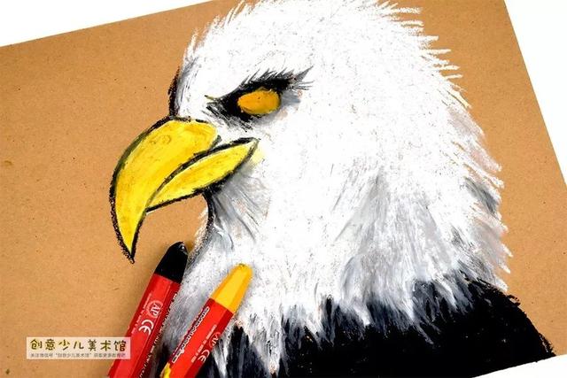 老鹰的眼睛的特点，老鹰的眼睛像什么一样锐利（油画棒色彩练习画雄鹰）