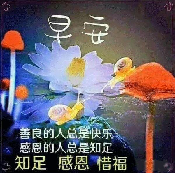 七彩生活的优美句子，所谓生活,一半烟火,一半清欢（只要心中有阳光）