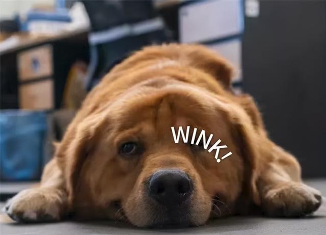 qq聊天框的耳朵是什么意思，手机qq名字旁边的耳朵是什么（我觉得这才是真正的iOS）