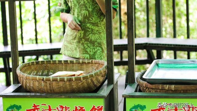 海南苦丁茶是什么茶，海南苦丁茶的功效与作用价格（当地老百姓生活中“物什”）