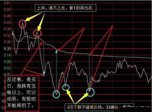 炒股做t技巧每天赚500（长期持有一只股票不理会涨跌）