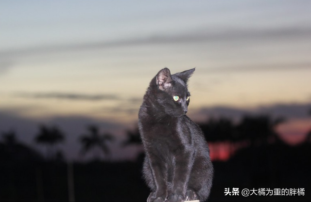 得了艾滋一辈子完了吗，感染艾滋病的一生就完了（多注意这些小细节）