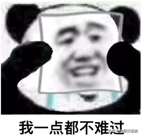 两个人的世界演员表，两个人的世界演员表安总（陈道明近6年主演的唯一作品）