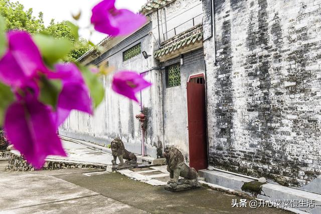 肇庆十大旅游景点之梅庵，肇庆名胜风景区（广东肇庆有个神奇的水池）