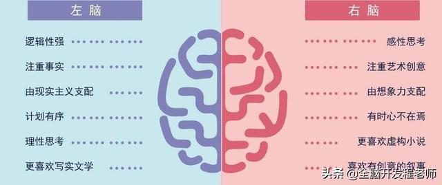 左脑思维和右脑思维有什么区别，右脑思维和左脑思维的有什么区别（右脑功能比左脑强大100万倍）