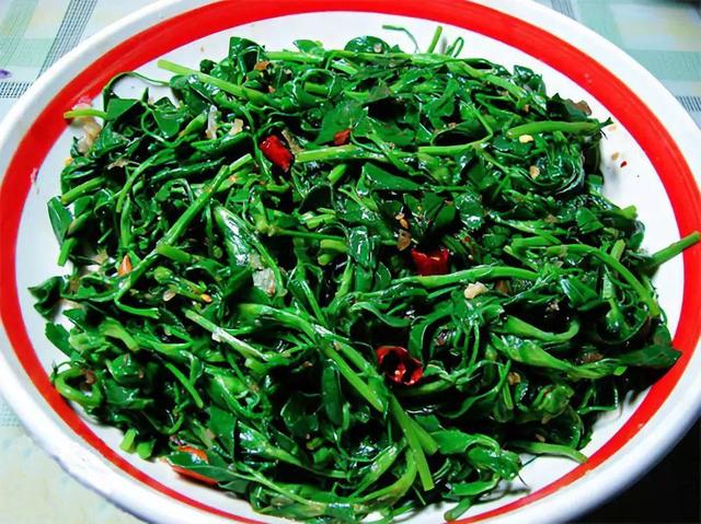 做清明果的草叫什么草，做清明果的那种草叫什么（春天不可错过的4种野菜）