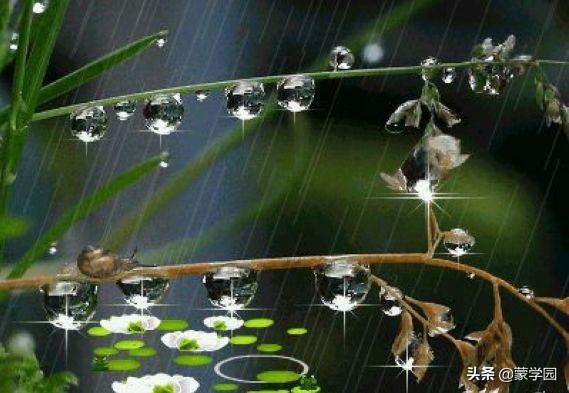 四字成语什么什么夺目，什么什么夺目四字词语（100个描写春天的四字词语）