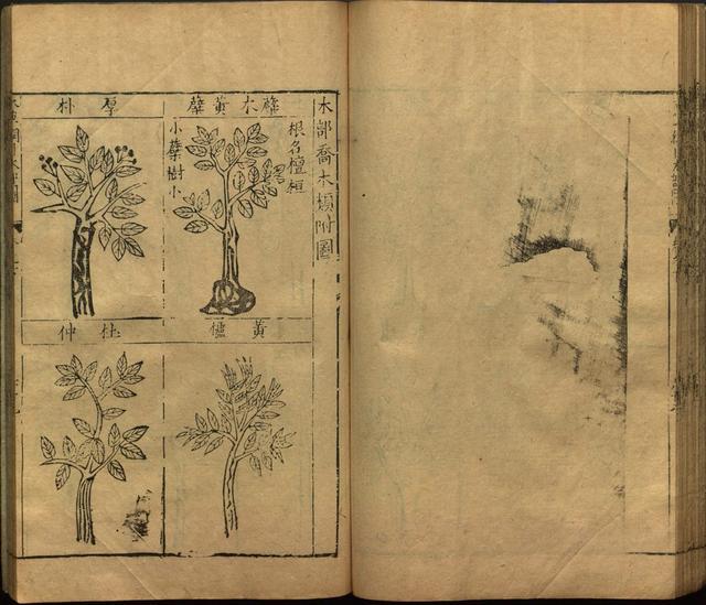 本草纲目全书带图，李时珍本草纲目全书（李时珍著《本草纲目》附图卷）