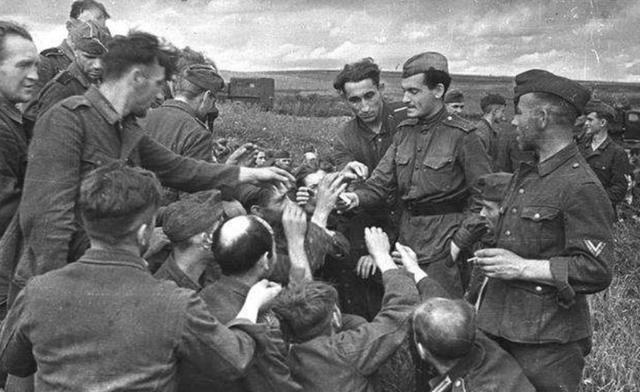 第二次世界大战的原因，二战怎么引起的（第二次世界大战的战争起因是什么）