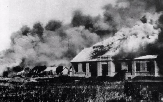 慰安妇是什么意思，最后的慰安妇是什么意思（慰安妇制度的产物“四脚牛”）