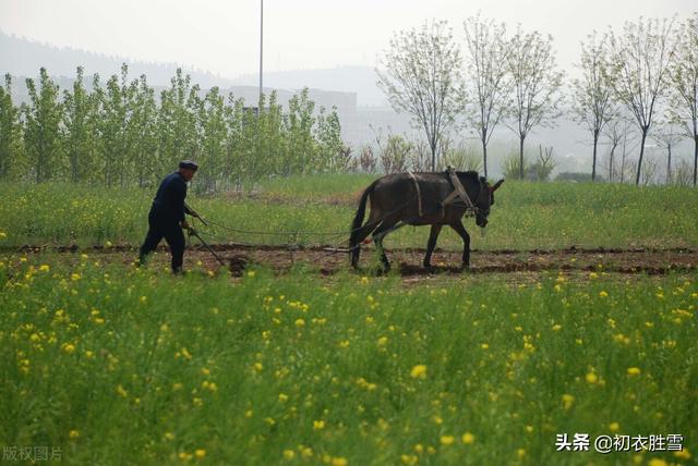 关于父亲节的诗句，关于父亲节的诗句有哪些（父亲节关于父亲的古诗五首）