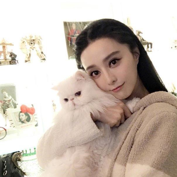 女生适合养什么猫，什么猫适合新手女生养（最适合女生养的5种猫）