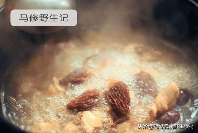 野生羊肚菌有什么作用，羊肚菌有什么功效与作用（羊肚菌的营养价值、功效及作用）