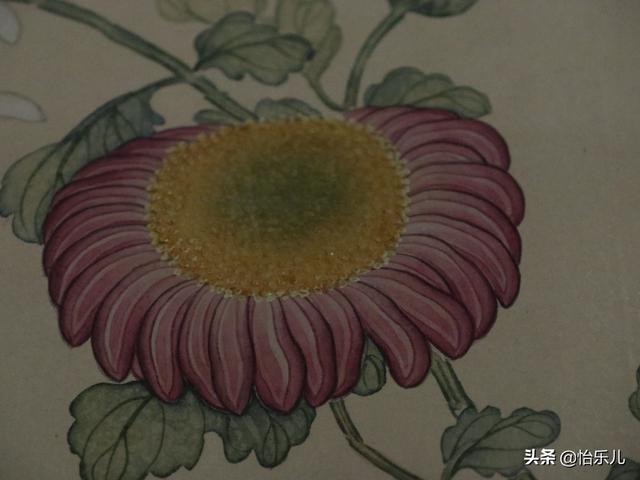 葩的读音（葩怎么读，葩是什么意思（金佛座、搓粉妆、绶带紫、鹤头丹）