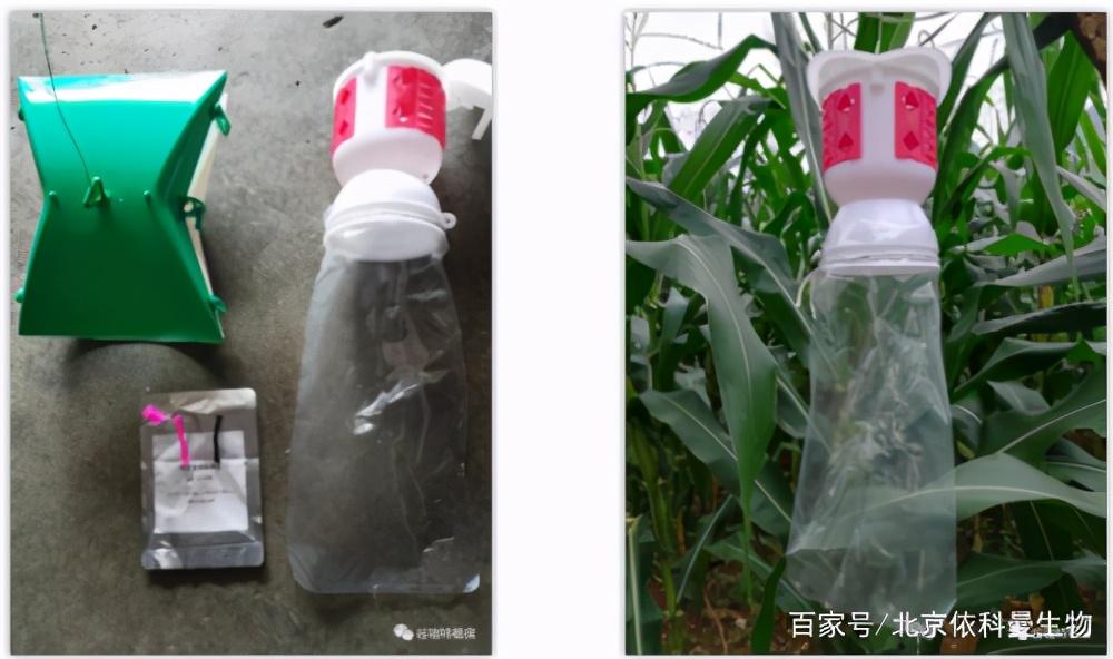 闪讯的无线怎么用，闪讯无线网怎么连（狙击“幺蛾子”这些防治产品才有效）