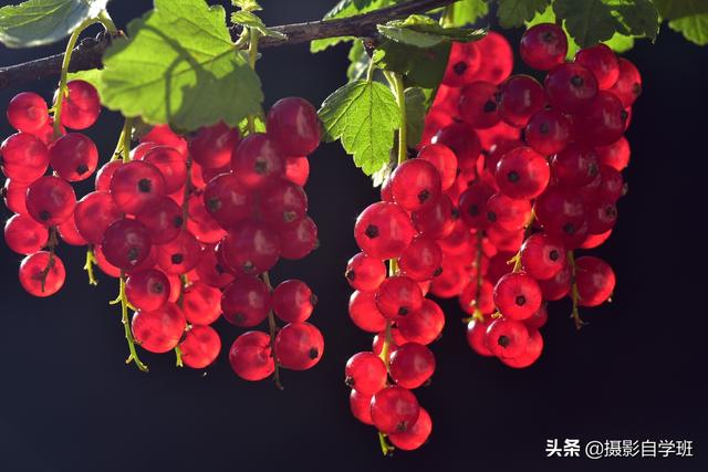 ps如何修图，ps如何修图美化证件照（变成不简单照片）