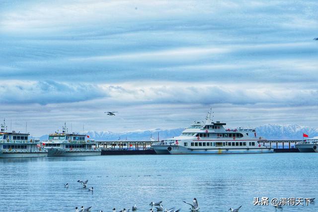 自驾游青海湖，自驾游青海湖视频（雪山、草甸、湖泊尽收眼底）