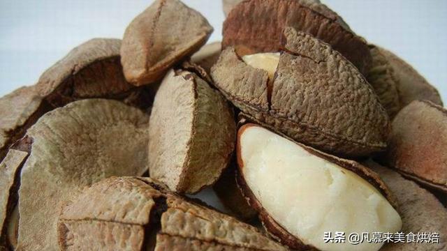 坚果有哪些，坚果有哪些食物（25种坚果大全你都认识吗）