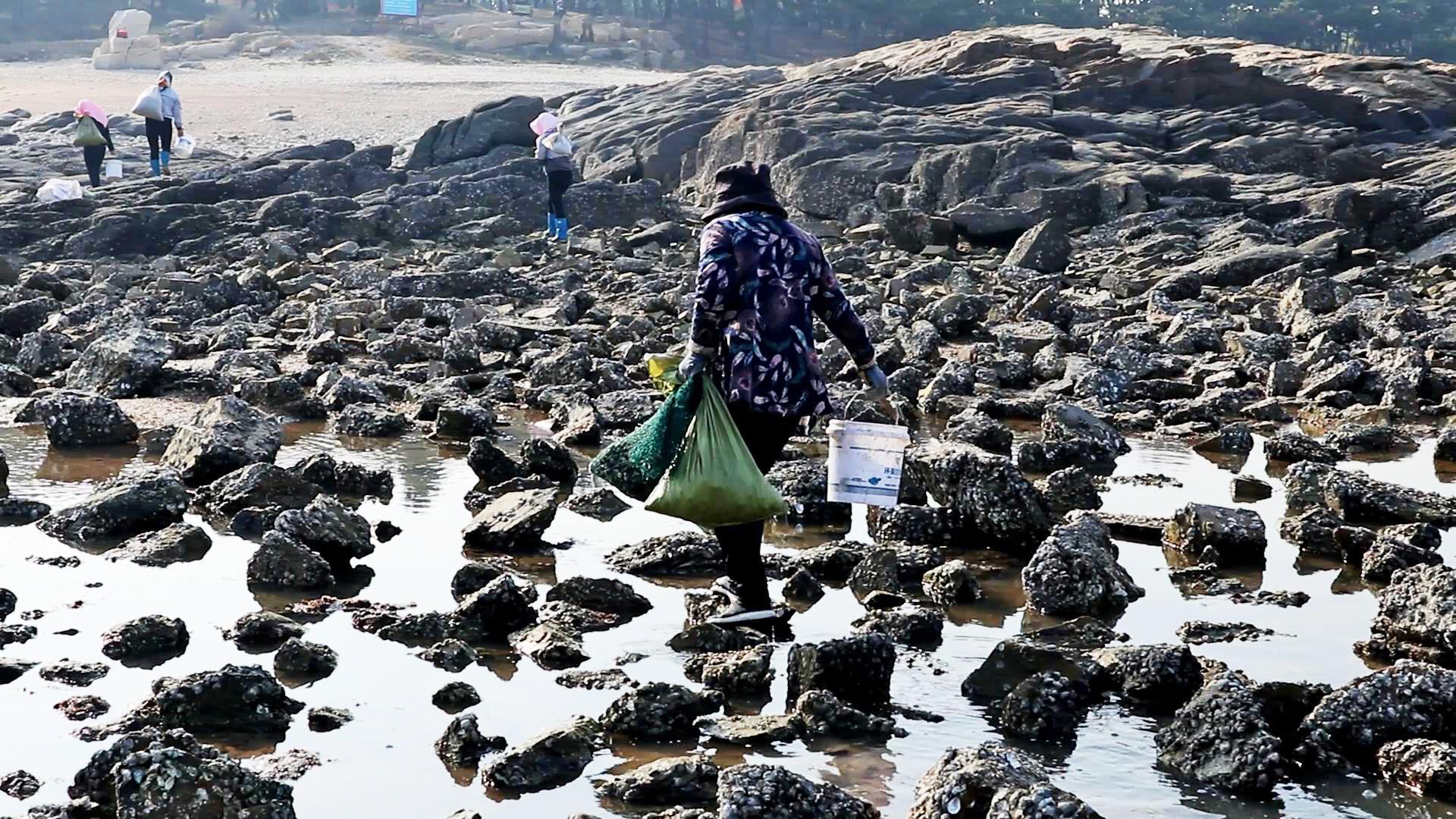 离济南最近的海边(滨州海边沙滩在哪里)