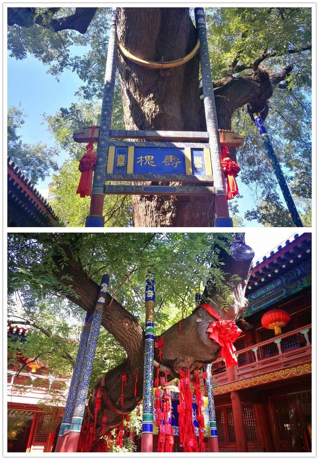 东岳庙不能乱拜，拜东岳庙后为什么不能拜其他佛（请来东岳庙）