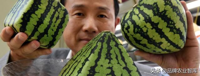 独果是什么，独果是真的吗（吃水果吃掉一套房、几辆车）