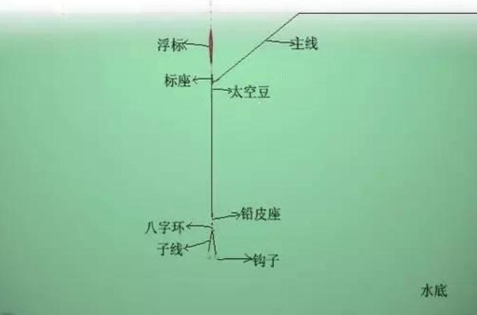 专注钓草鱼调漂技巧：最佳调几目才能高效上鱼？实战经验分享助你轻松爆护