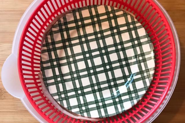 如何自种绿豆芽，怎样自己种绿豆芽（不用土壤不用肥料）