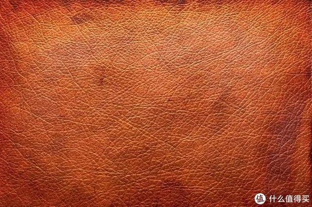 绵羊皮、山羊皮、牛皮等皮衣材质怎样区分，怎样区分皮衣是山羊皮还是绵羊皮（不知道怎么选购皮衣）
