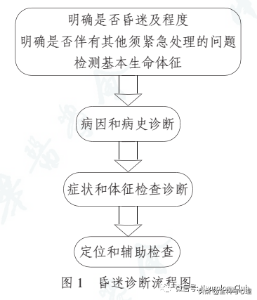 昏迷分级和表现，怎样判断病人的昏迷程度（昏迷的诊断思路）