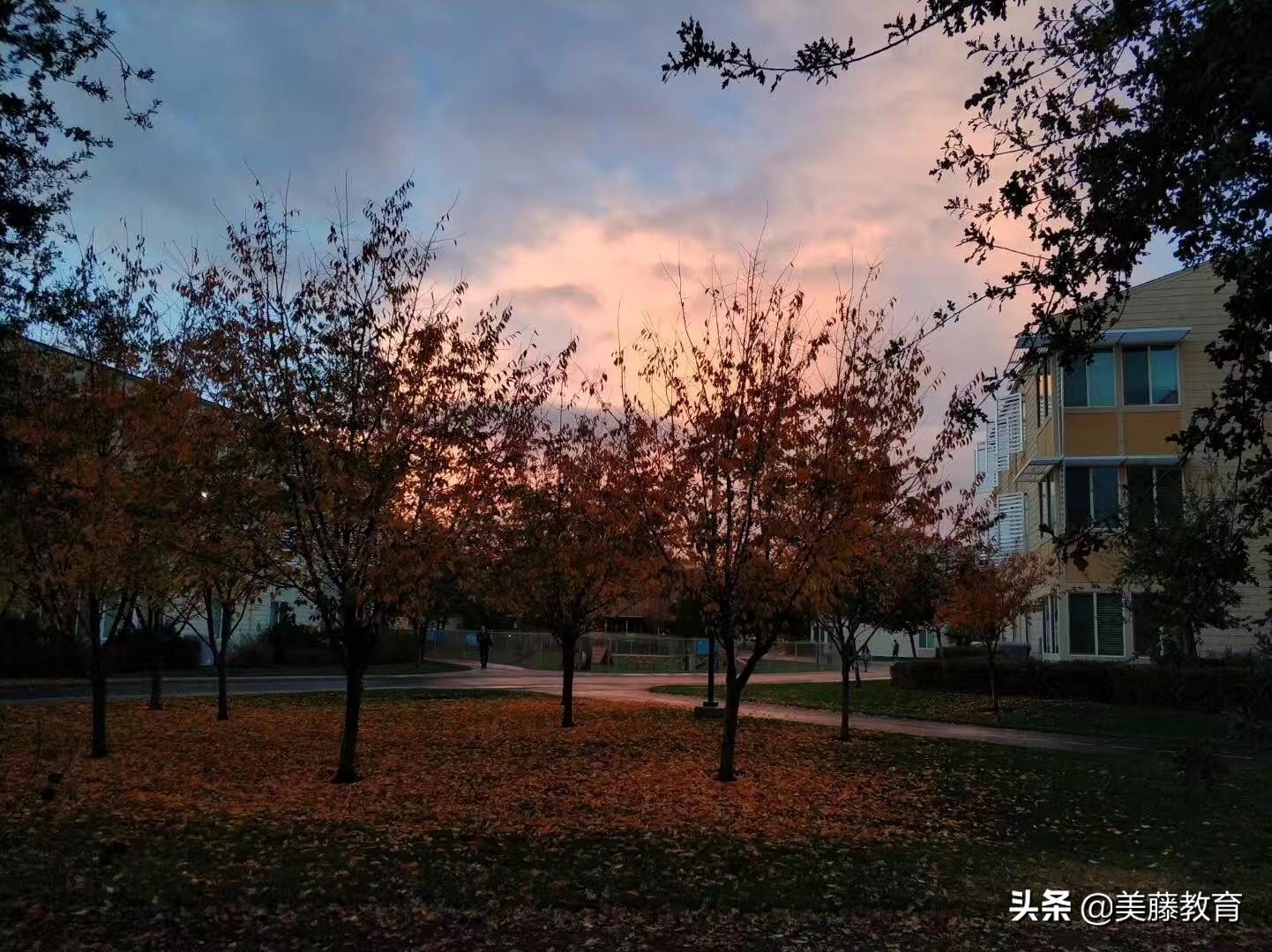 美国诺斯伍德大学(加拿大莱姆顿学院世界排名)